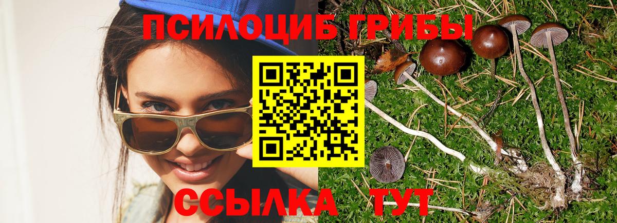 Псилоцибиновые грибы GOLDEN TEACHER Лысьва