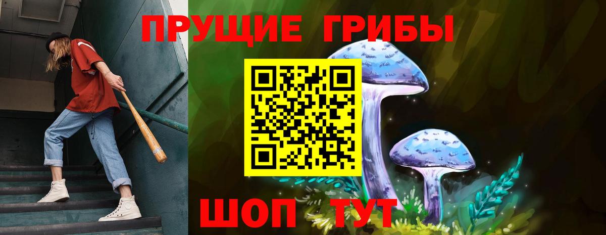 Псилоцибиновые грибы Cubensis  Псилоцибиновые грибы GOLDEN TEACHER  Вход с VPN  Лысьва 